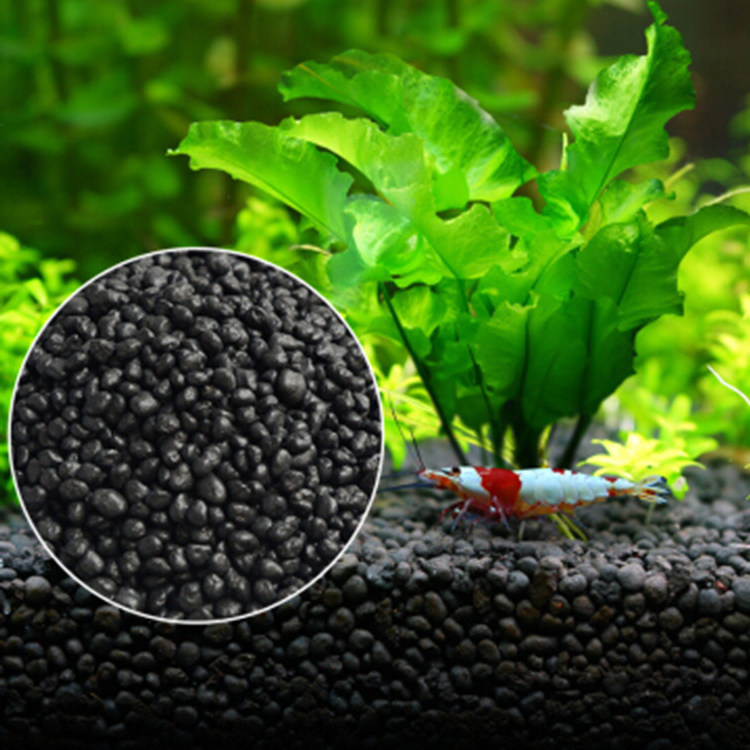 Planted Aquarium Freshwater - نباتات أحواض السمك ، التربة ،