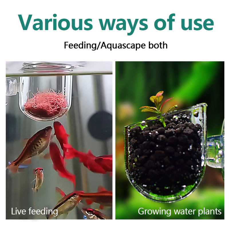 وعاء زراعة النباتات المائية من - مراجعة Aquarium Plant Utensils وسعره