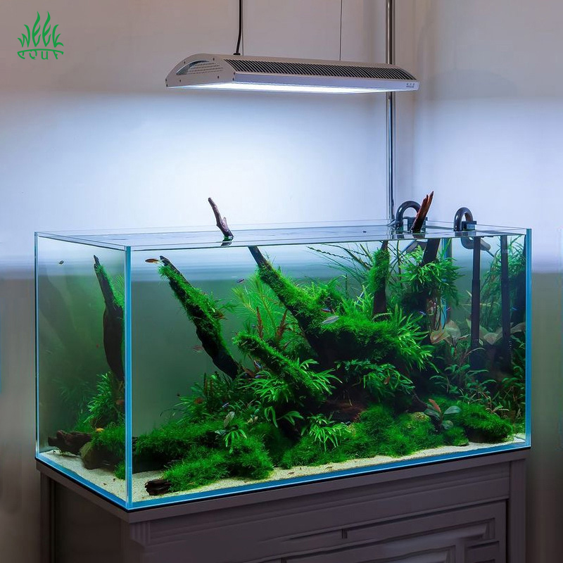 مصباح LED للأحواض المائية من و - مراجعة Planted Aquarium Hanging Light وسعره