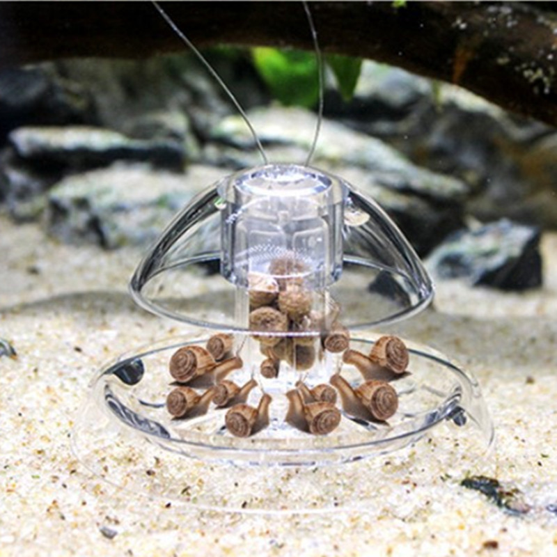 1 قطعة خزان الأسماك حوض السمك  - مراجعة Aquarium Plant Utensils وسعره