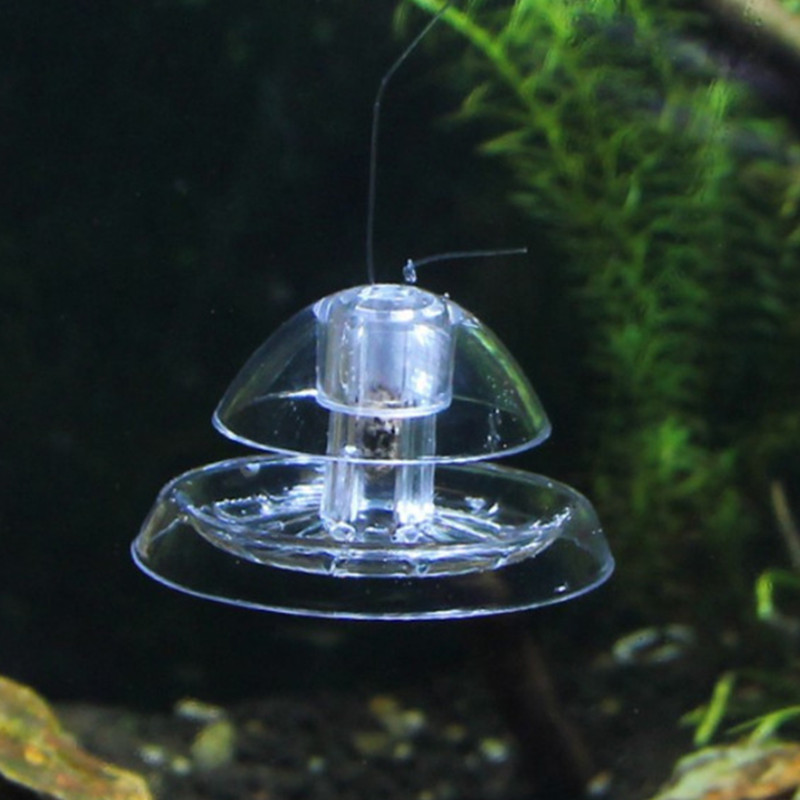 1 قطعة خزان الأسماك حوض السمك  - مراجعة Aquarium Plant Utensils وسعره