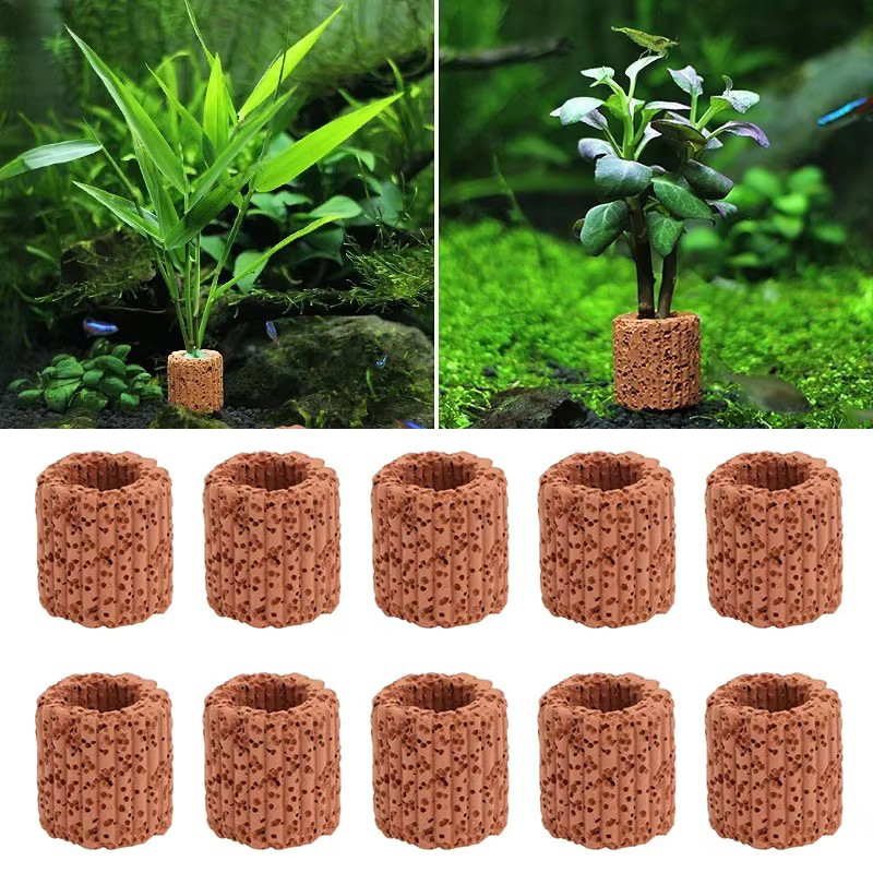 حلقة ثابتة للنباتات المائية لح - مراجعة Aquarium Plant Utensils وسعره
