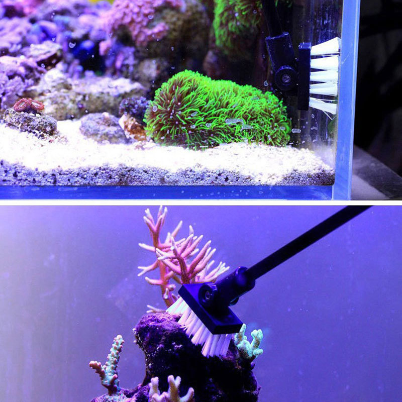فرشاة تنظيف الصيد، خزان النبات - مراجعة Planted Aquarium Freshwater وسعره