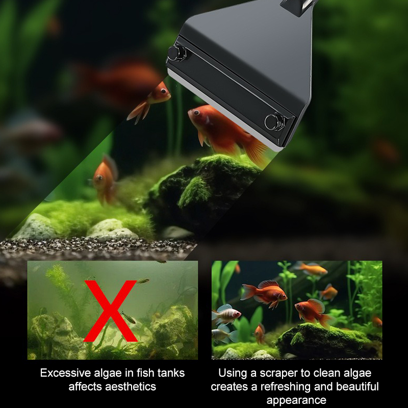 حوض السمك الطحالب مزيل سبائك ا - مراجعة Aquarium Plant Utensils وسعره