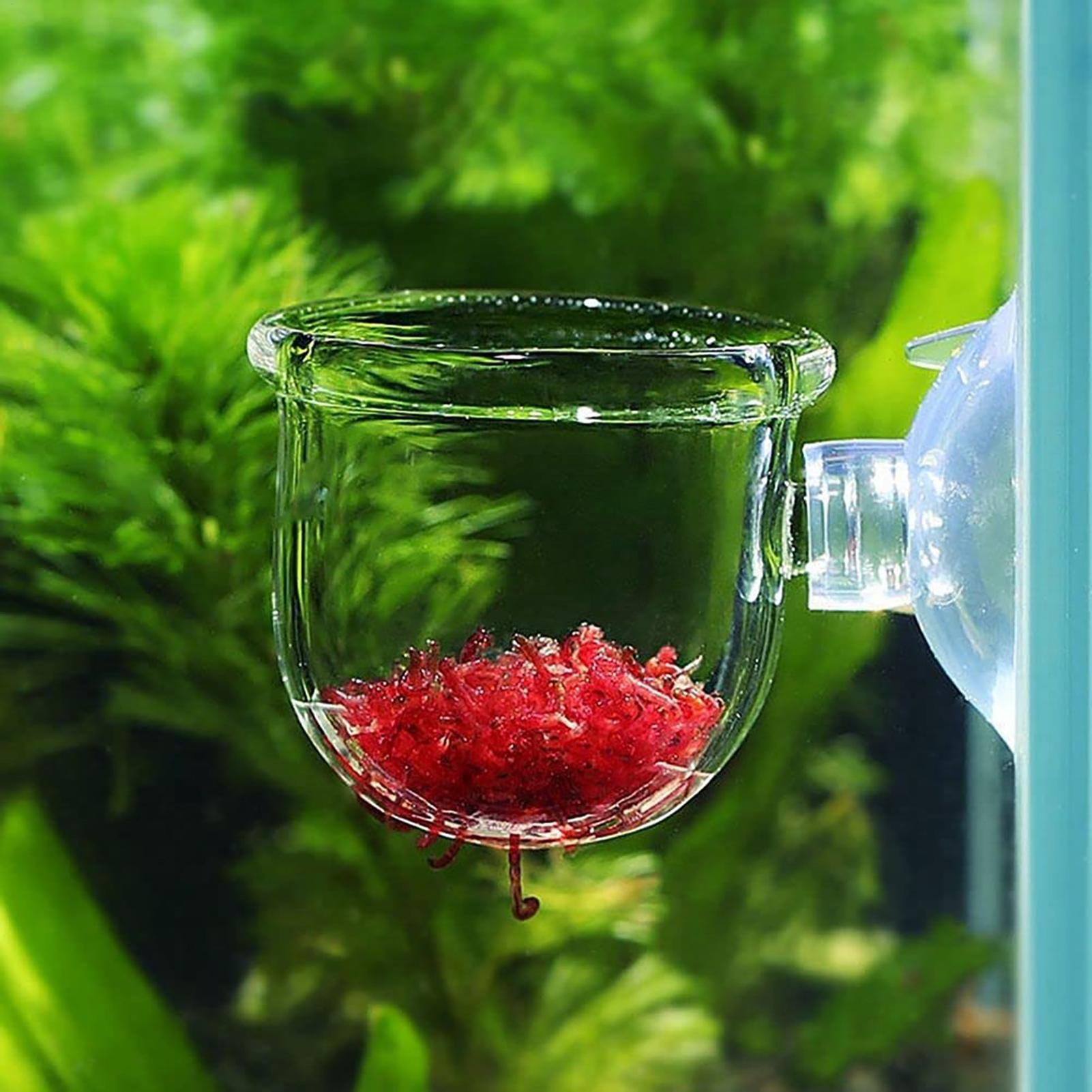 وعاء زرع نباتات الزينة للأحواض - مراجعة Aquarium Plant Utensils وسعره
