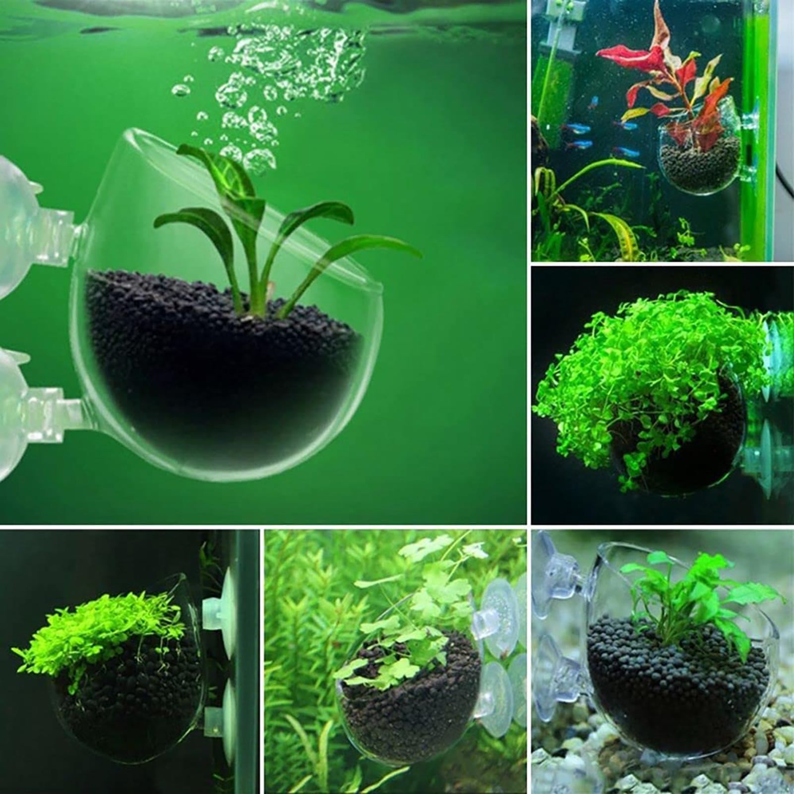 وعاء زرع نباتات الزينة للأحواض - مراجعة Aquarium Plant Utensils وسعره