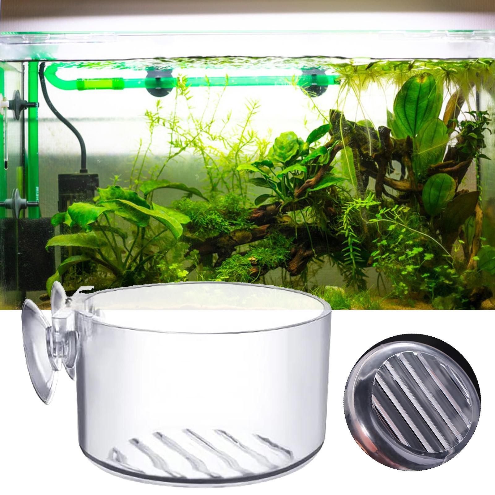 وعاء زرع نباتات الزينة للأحواض - مراجعة Aquarium Plant Utensils وسعره