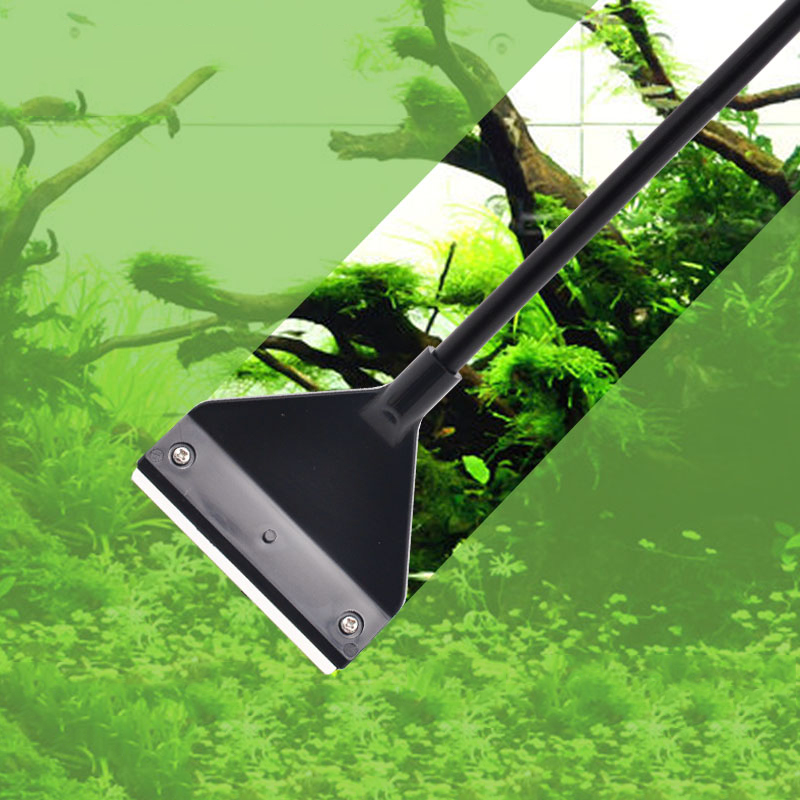 حوض السمك الطحالب مزيل سبائك ا - مراجعة Aquarium Plant Utensils وسعره