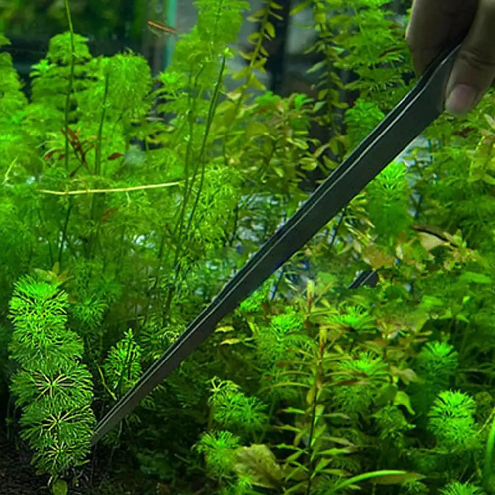 ملاقط من الفولاذ المقاوم للصدأ - مراجعة Aquarium Plant Utensils وسعره