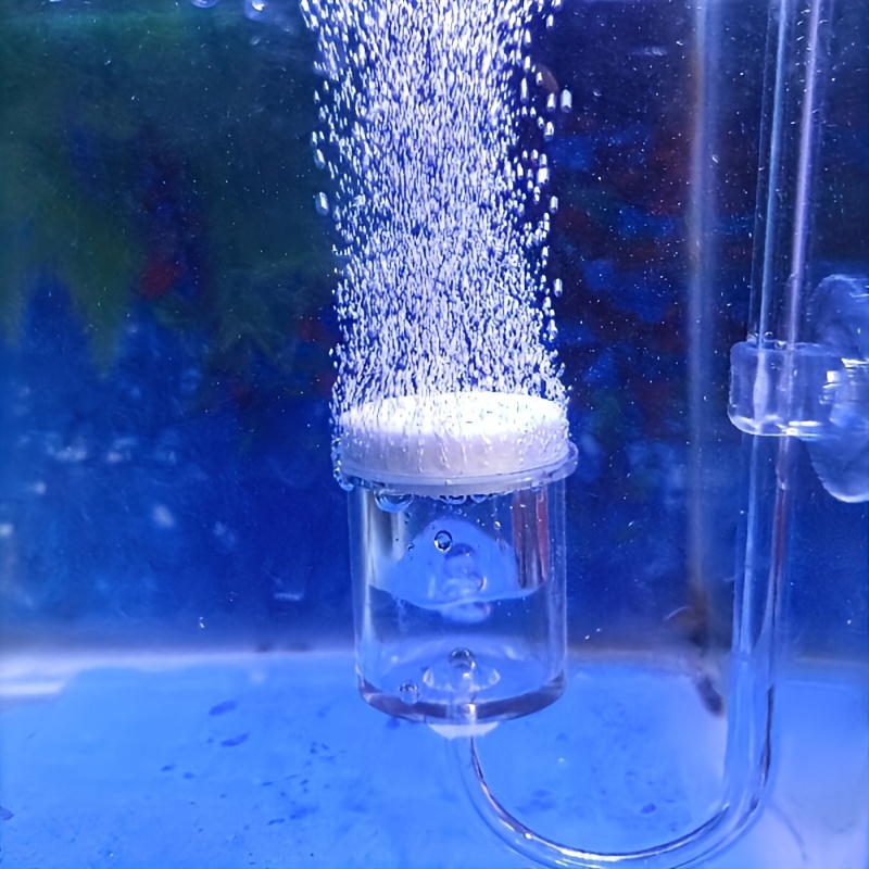 حوض السمك الزجاج CO2 البخاخة ا - مراجعة Planted Aquarium Co2 وسعره