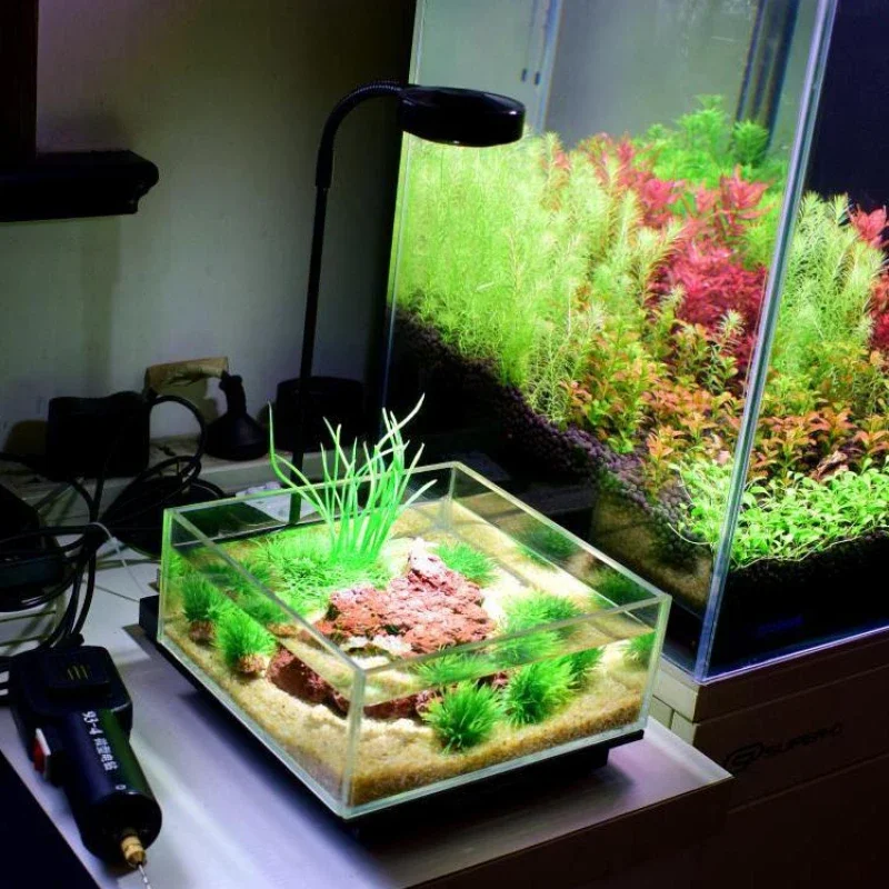 ضوء حوض السمك LED صغير مع لوح  - مراجعة Planted Aquarium Freshwater وسعره