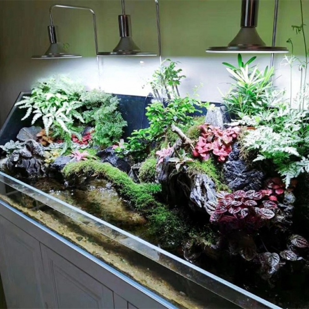 إضاءة LED لحوض السمك مع أقواس  - مراجعة Planted Aquarium Freshwater وسعره