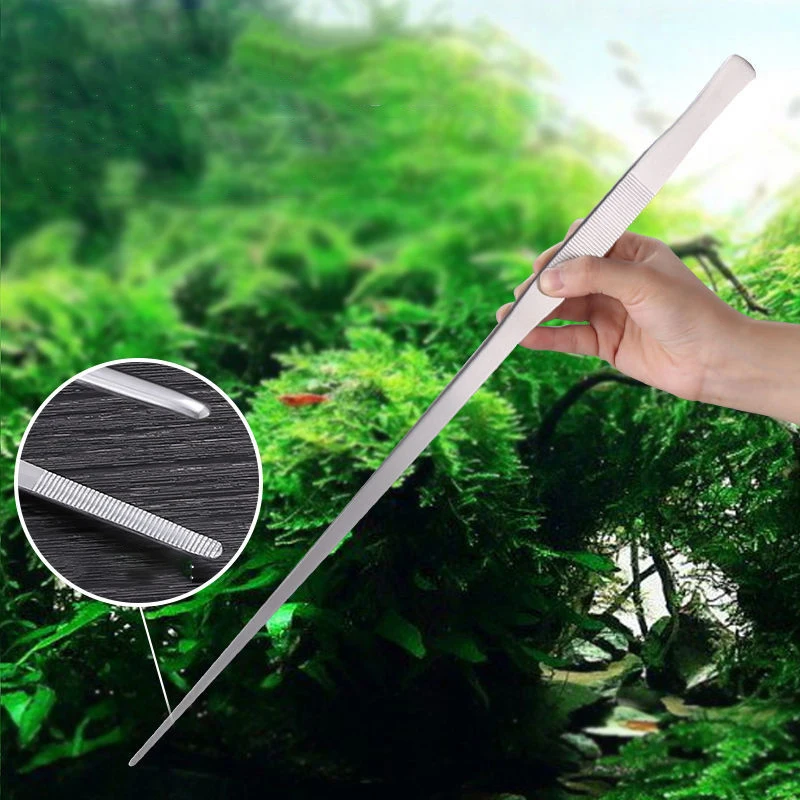 ملقط منحني مستقيم من الفولاذ ا - مراجعة Aquarium Plant Utensils وسعره