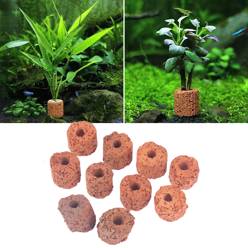 10 قطع حلقات سيراميك ثقيلة الو - مراجعة Aquarium Plant Utensils وسعره