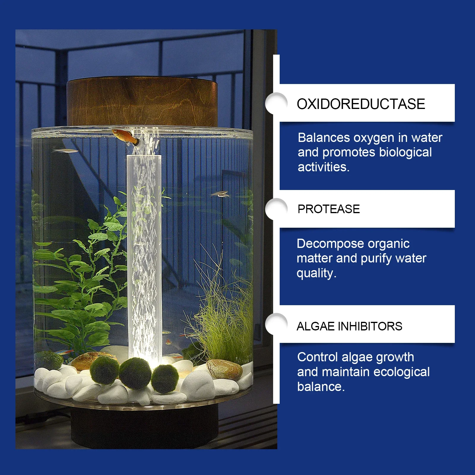 منظف مياه حوض السمك، منظف خزان - مراجعة Aquarium Plant Liquid Fertilizer وسعره