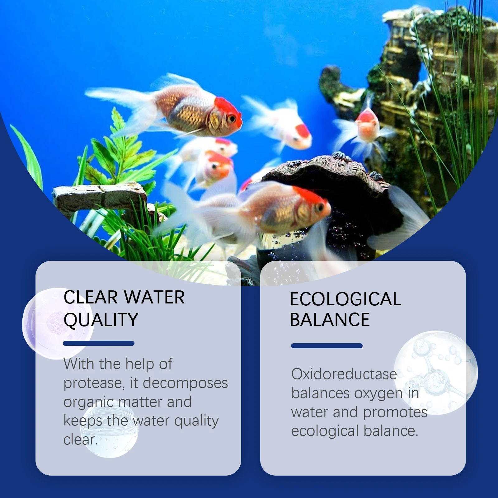 منظف مياه حوض السمك، منظف خزان - مراجعة Aquarium Plant Liquid Fertilizer وسعره