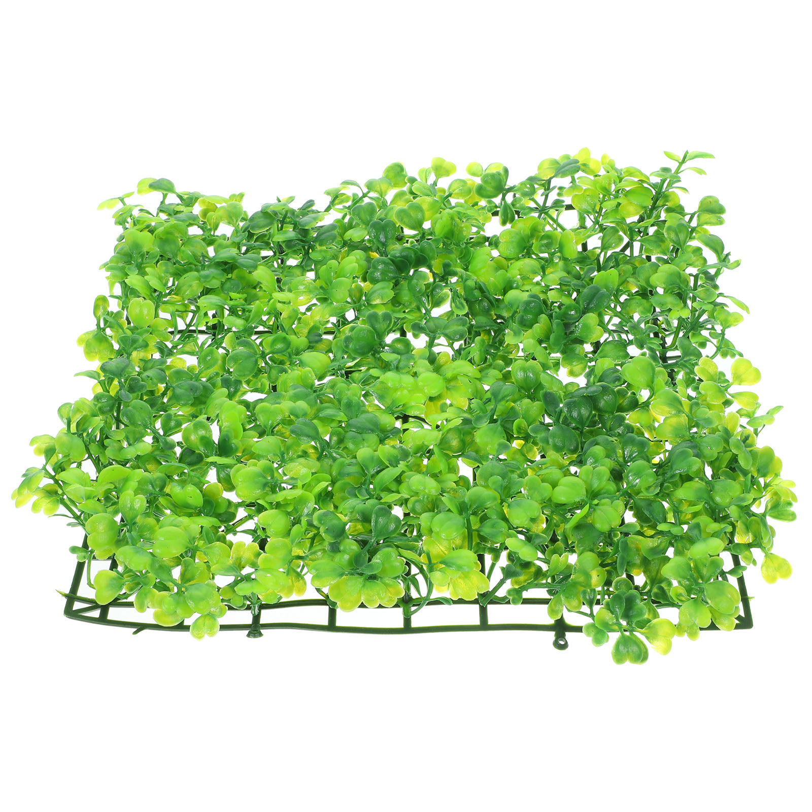 عشب حوض السمك الاصطناعي، نباتا - مراجعة Planted Aquarium Freshwater وسعره