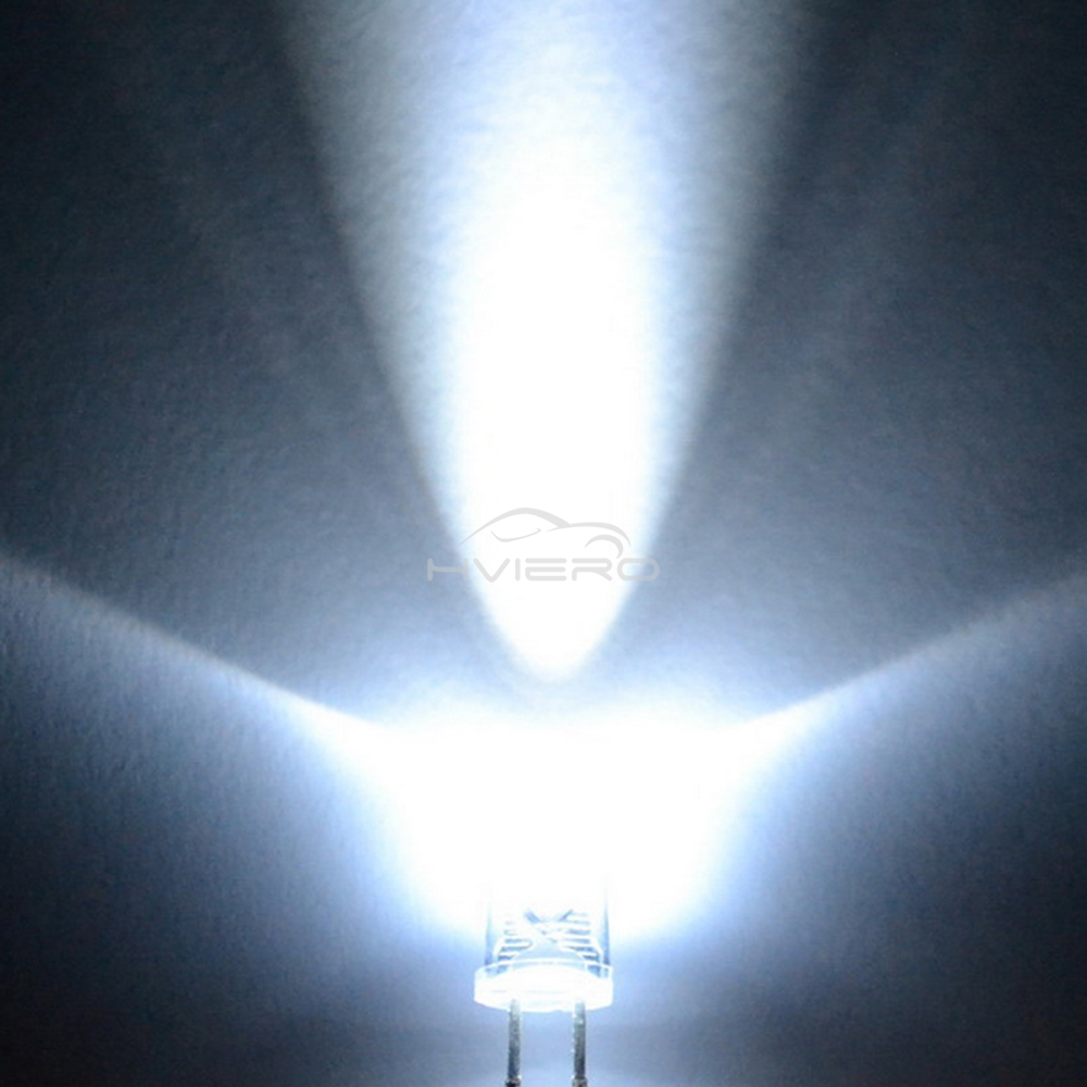 100 قطعة من مصابيح LED دائرية  - مراجعة Ludwigia Super Red وسعره