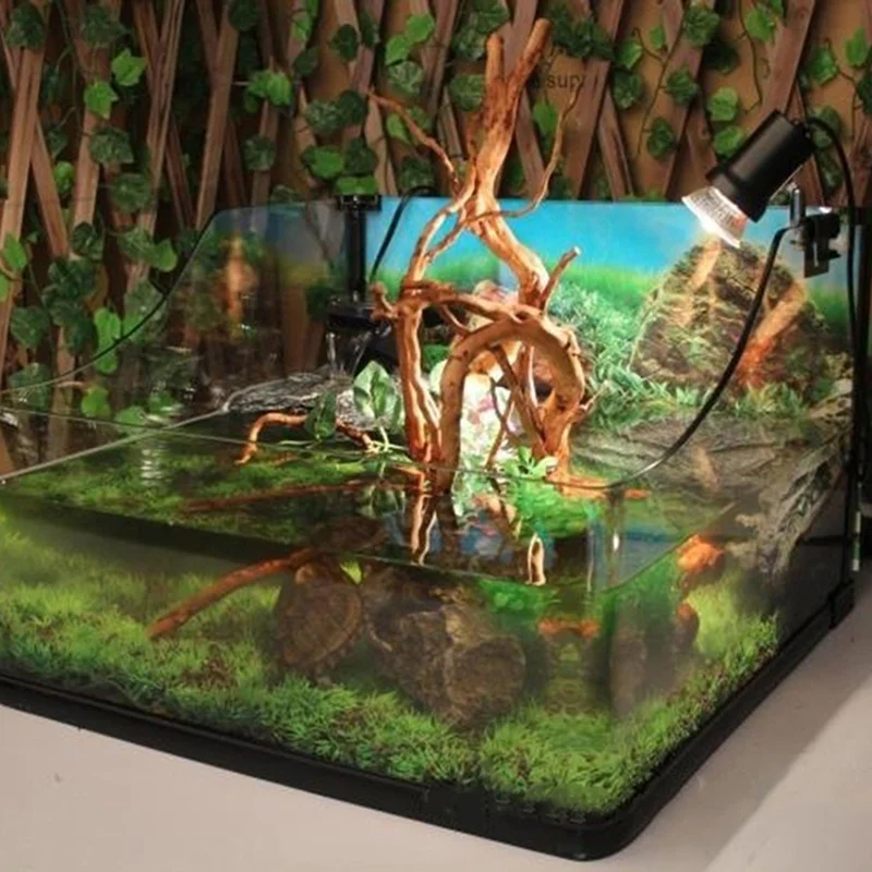 جذع شجرة طبيعية Driftwood خزان - مراجعة Planted Aquarium Making وسعره